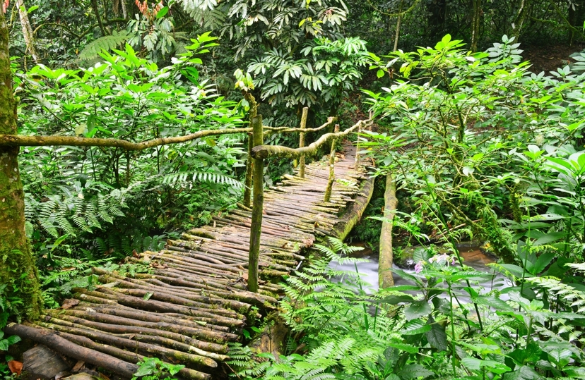 6-Day Big Five Combo, Chimps and Murchison Falls 3