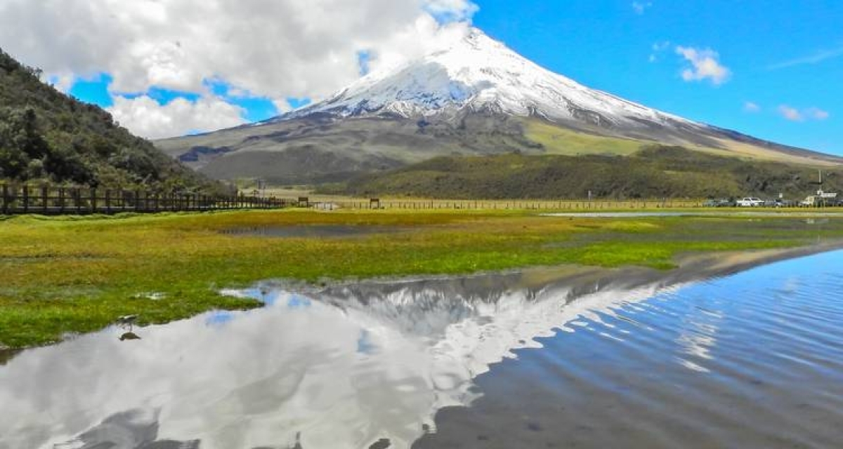 11 Days around Ecuador: A Journey Through Nature and Culture 1