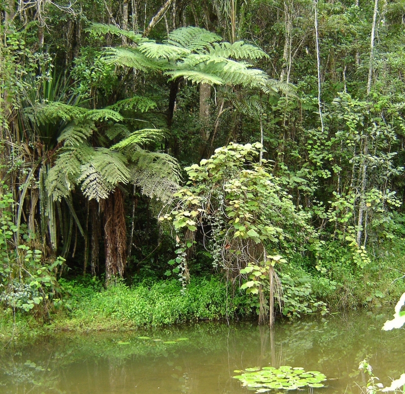 Unique trip to the East coast and the South of Madagascar 2