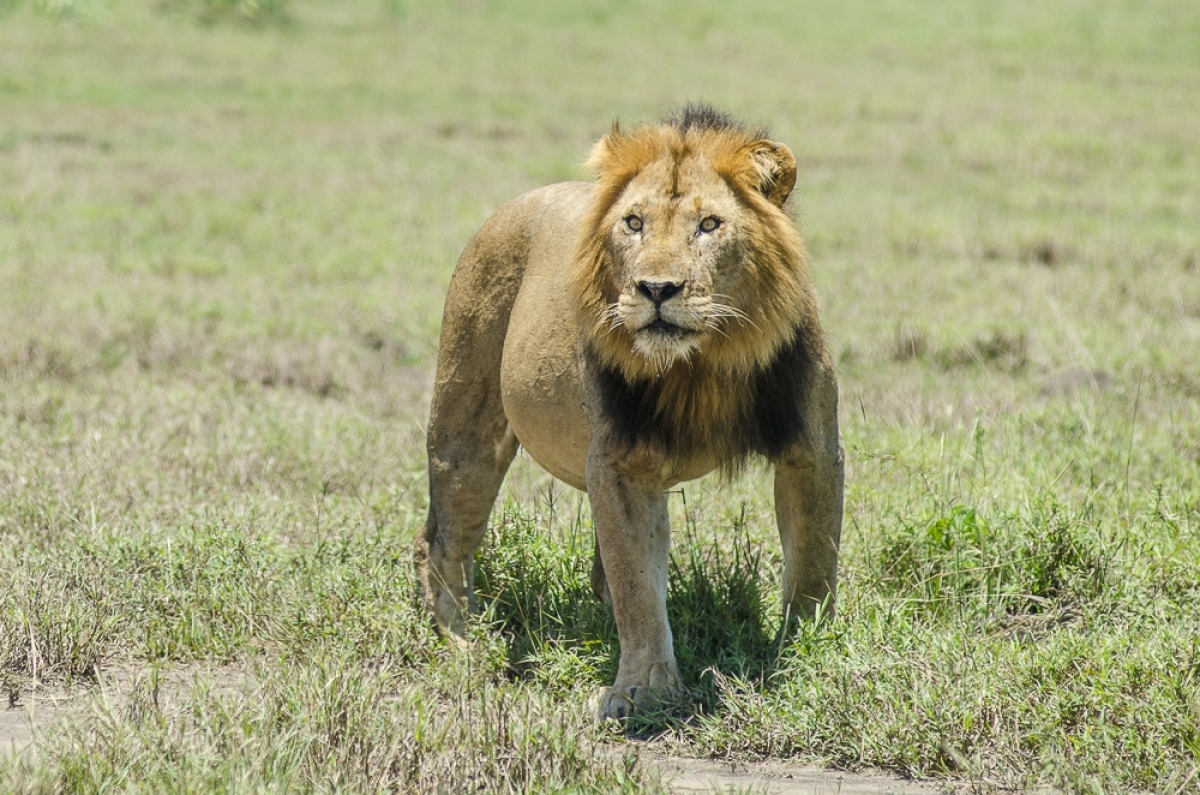5-day Big 5 Kidepo Valley NP 1