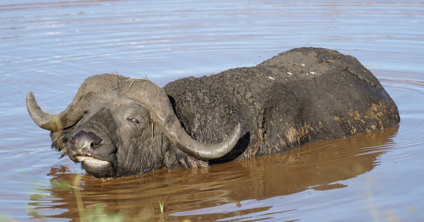 5-day Big 5 Kidepo Valley NP 4