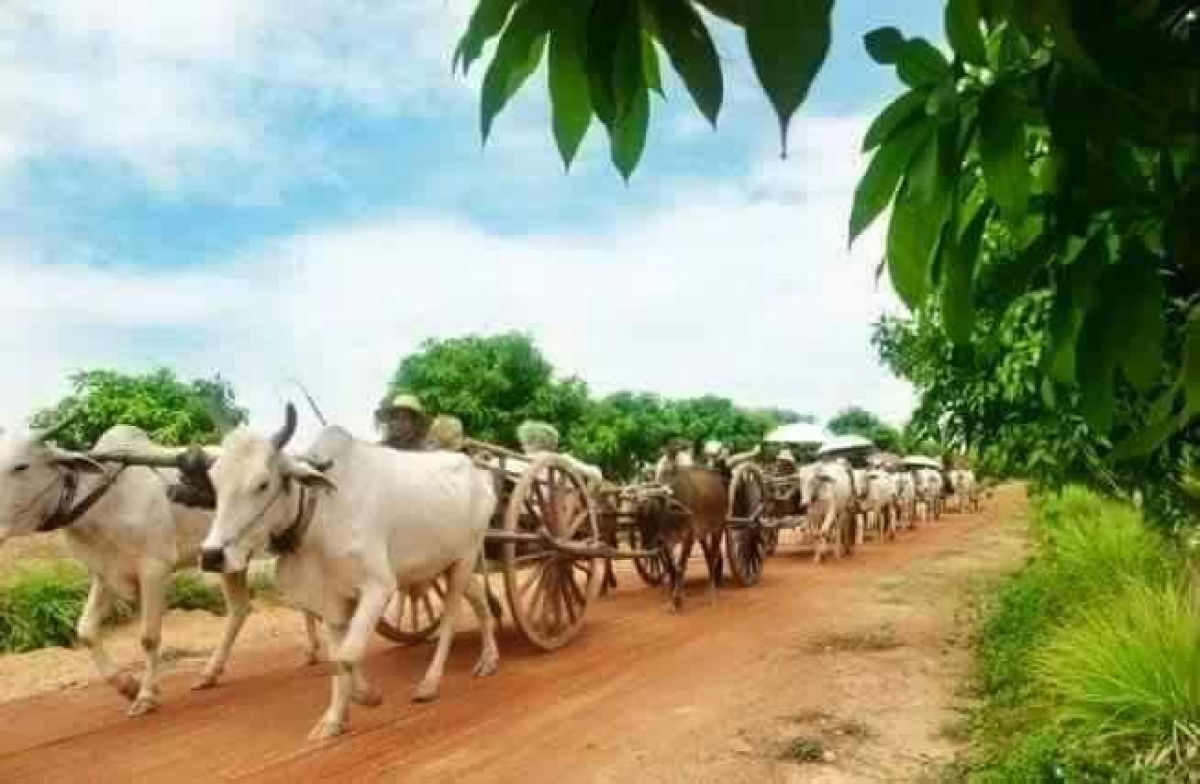 Tuk Tuk Journey: Exploring Rural Life and Silk Farm Craftsmanship 1