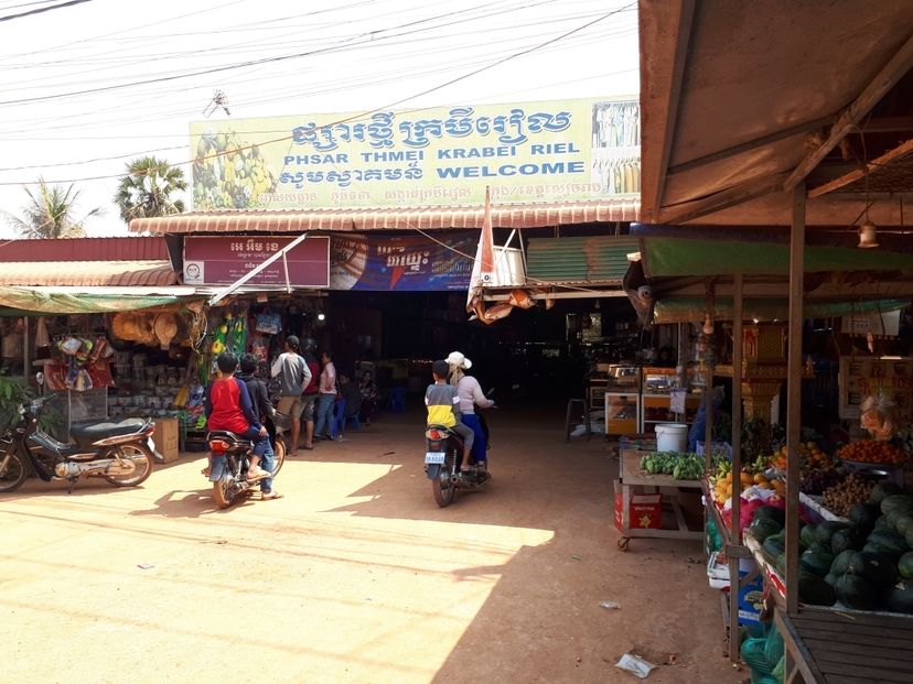 Tuk Tuk Journey: Exploring Rural Life and Silk Farm Craftsmanship 3