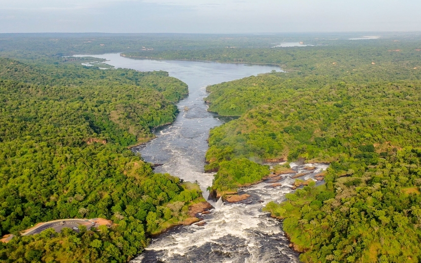 10-day Primates, Gorillas, Uganda Wildlife Tour 3