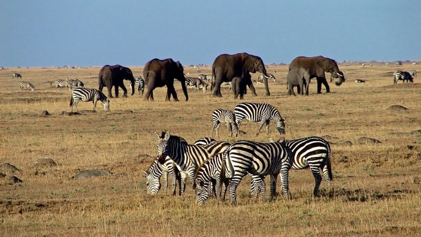 3 Days Maasai Mara Budget 2
