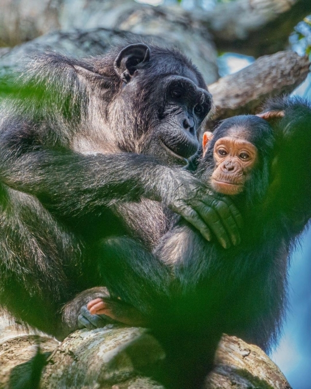 3-Day Safari to Queen Elizabeth National Park 3