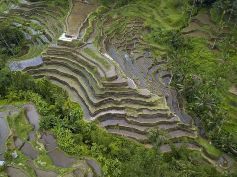 Bali Honeymoon Package: 5 Days and 4 Nights 3