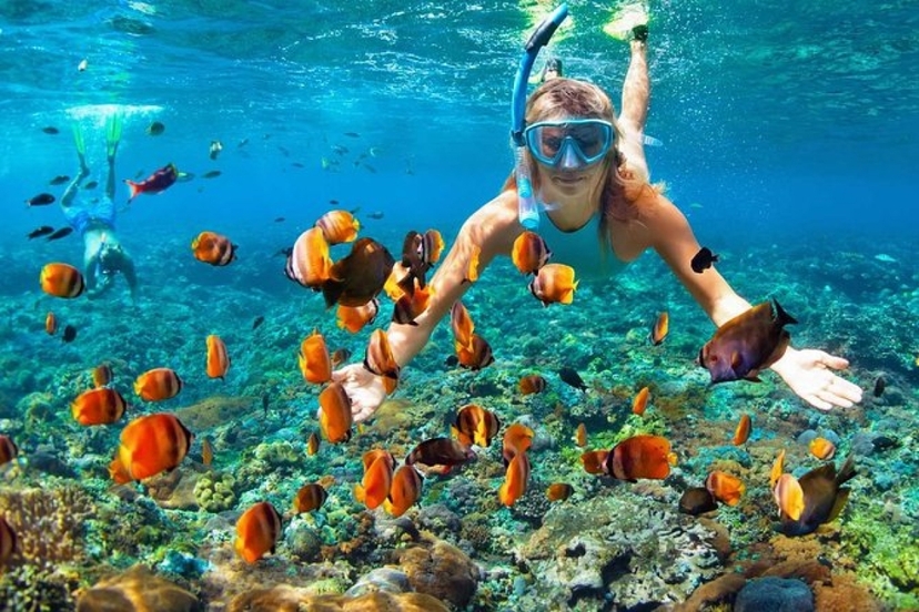 Egypt: 11-Hour Dahab Adventure: Blue Hole, Snorkelling, Camel ride and Lunch from Sharm El Sheikh 3