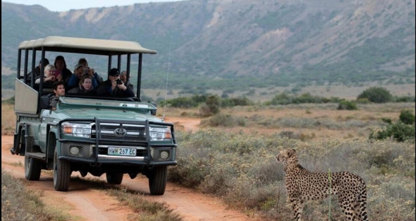 South Africa: 3 Day Addo Elephant National Park Safari 3
