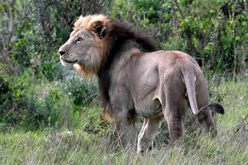 South Africa: Addo Elephant National Park Full Day 3