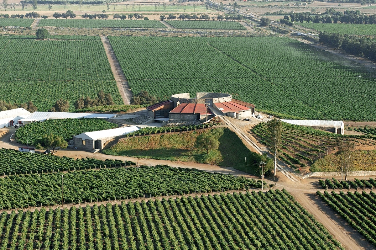 Old Wine Route Tour Experience. ALL INCLUSIVE! 1