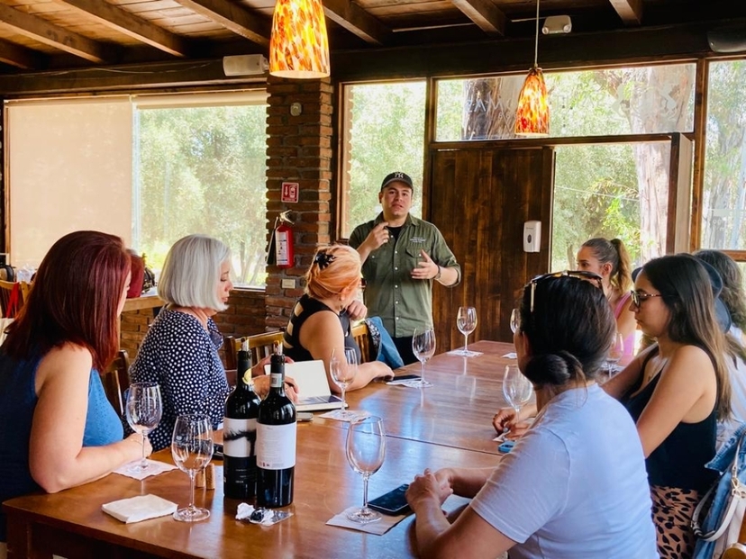 Old Wine Route Tour Experience. ALL INCLUSIVE! 3