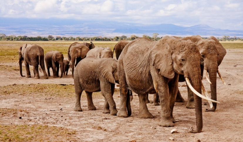6 Days Tarangire Serengeti and Ngorongoro Crater 3