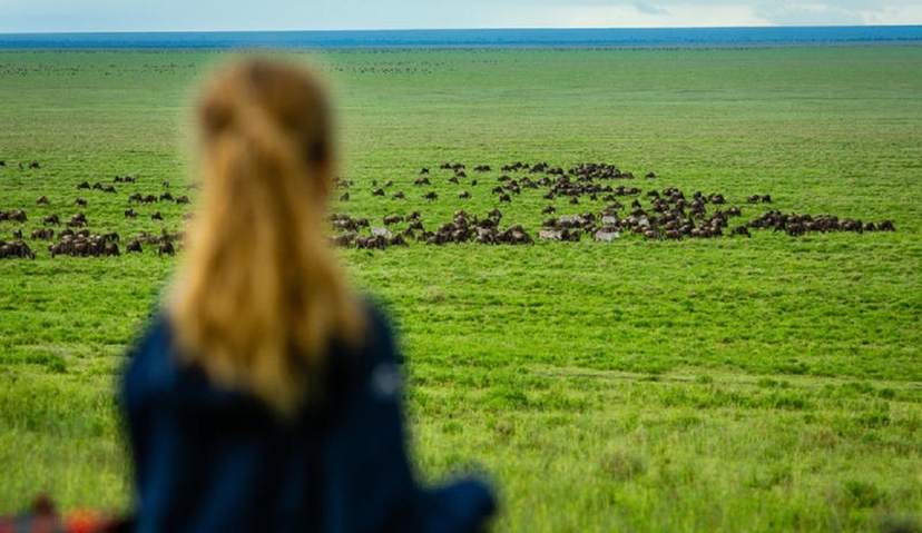 Tanzania Migration Safari 2