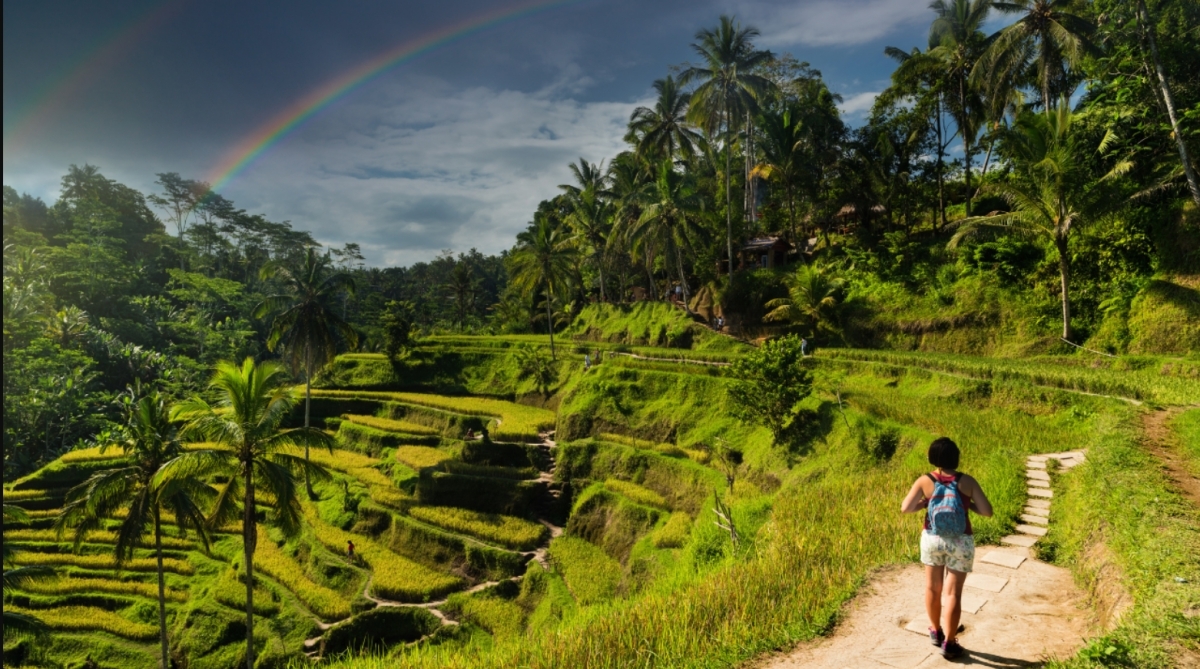 8 Days Bali Road Trip Explore Bali Your Way 1