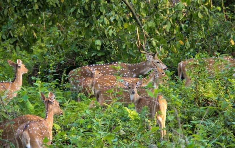 Soft Adventure Tour in Nepal 4
