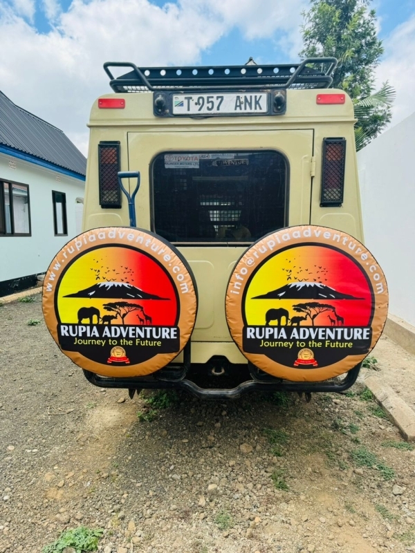 3 Days Tanzania Safari 2