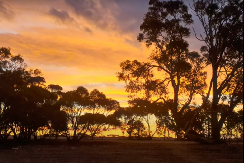 Stirling Range National Park Self Guided Driving Tour with an APP 2