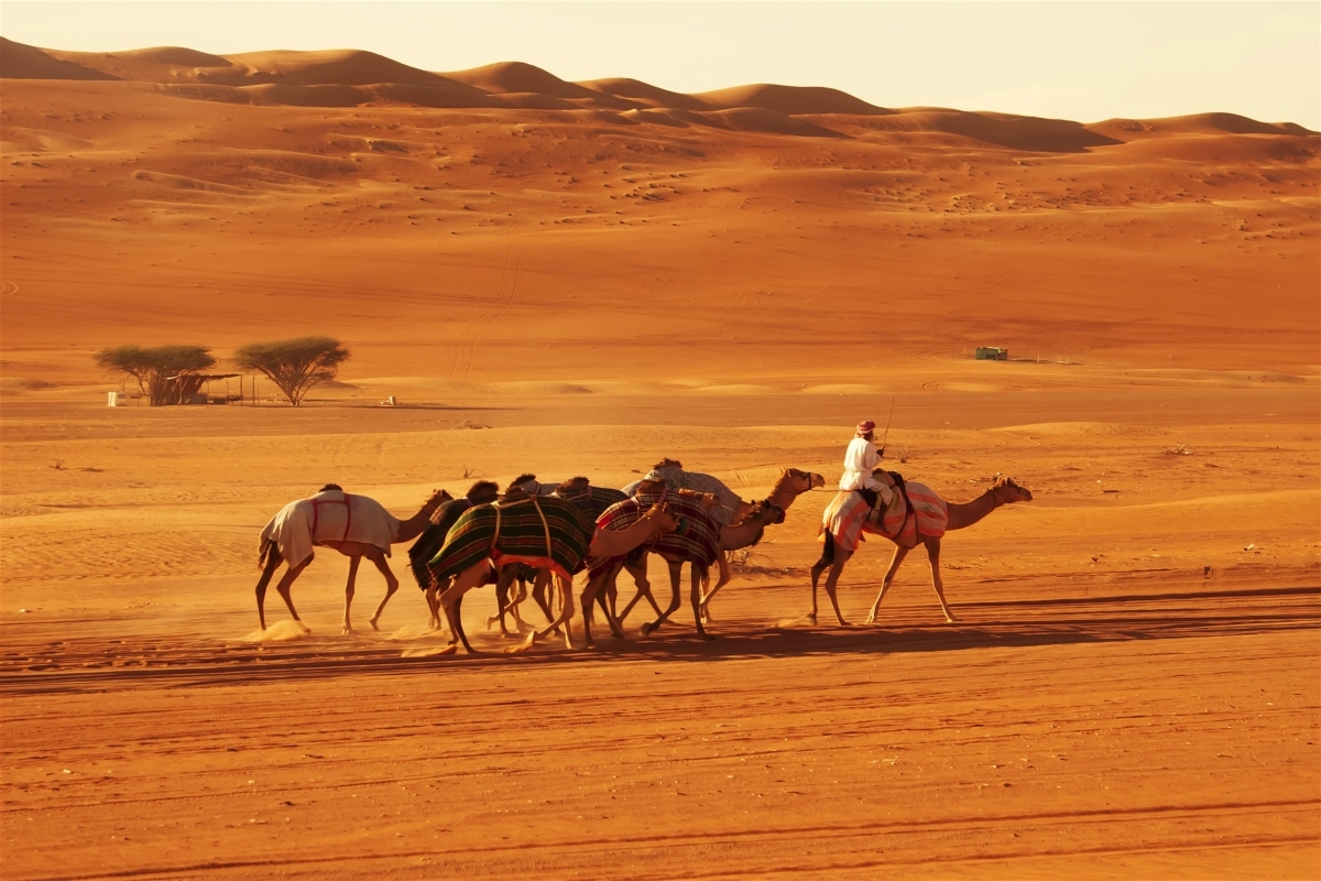 Oman Wilderness Tour Desert Mountains and Nature Experience 2
