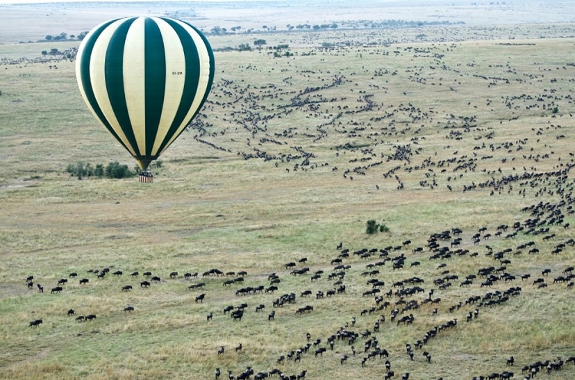 8 days Kenya Budget Joining Safari 2