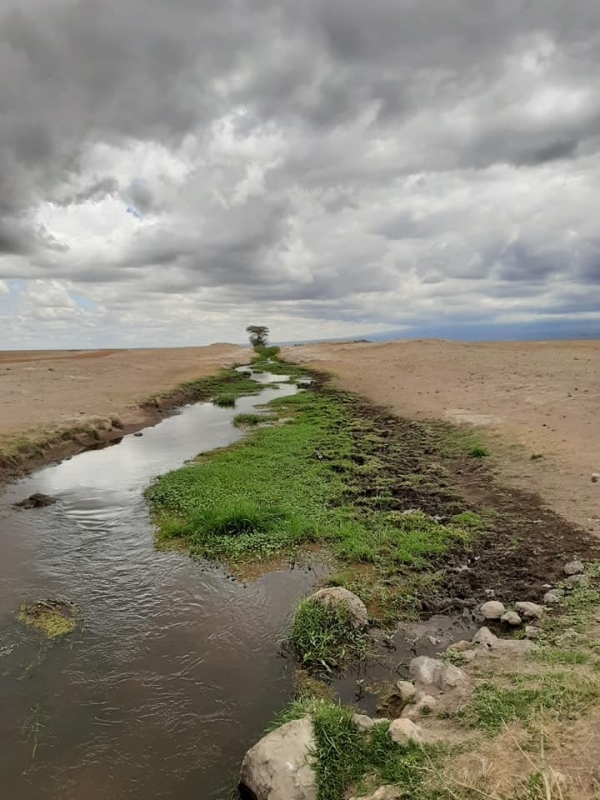 5 days Amboseli and Tsavos private safari 1