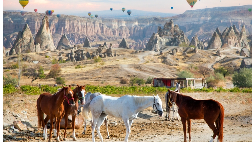 11 Day Turkey Local Tour Packages 2