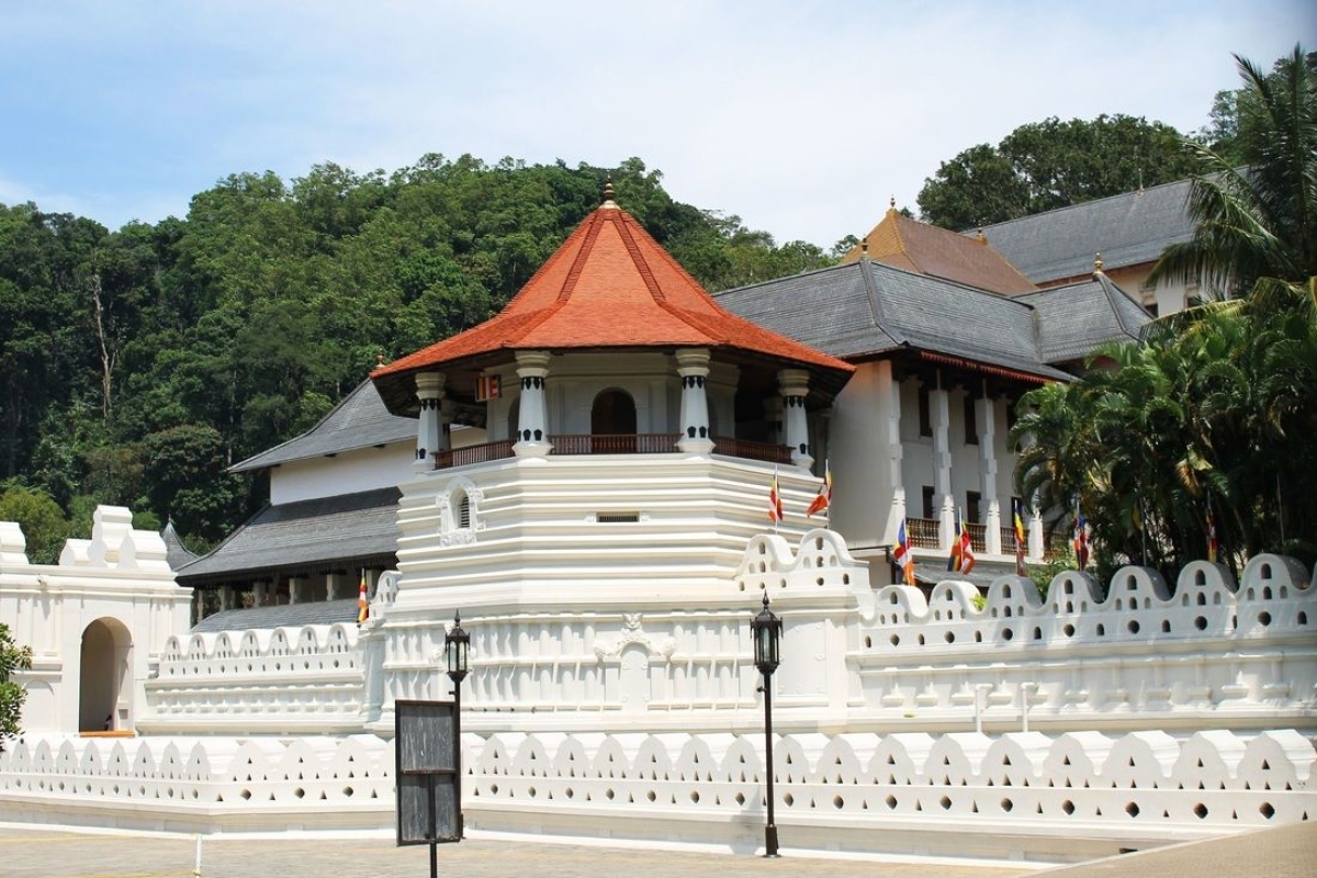 Luxury Day Tour to Kandy 1