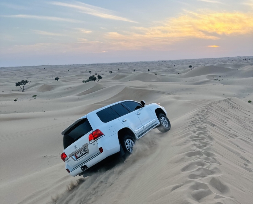 Abu Dhabi: Evening Desert Safari with Camel Ride, BBQ & Live Show 3