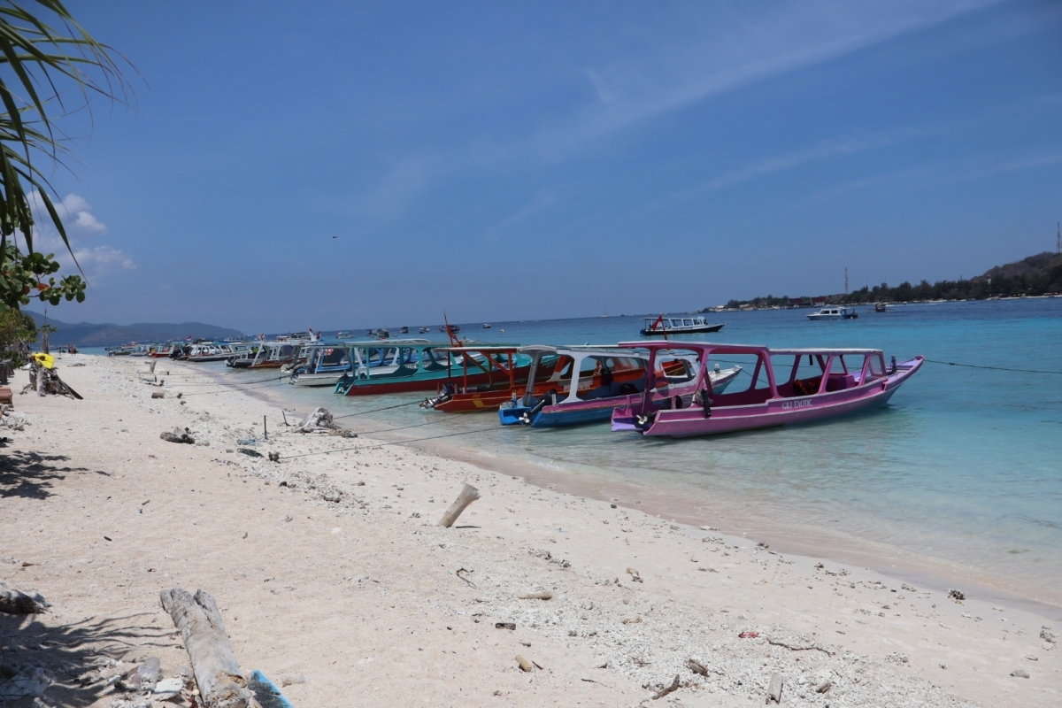 South Lombok Gili Island snorkeling Day Trip (Nanggu, Sudak, Kedis) 1