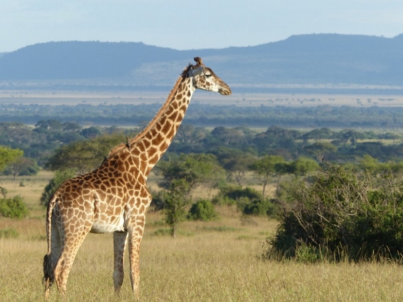 3-Day Serengeti &Ngorongoro Green Season Lux Tour Offer 3