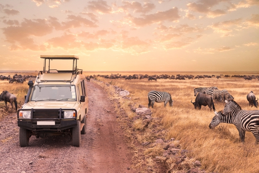 6-Day Highlights of Kenya & Tanzania Wildlife Safari Trail 3