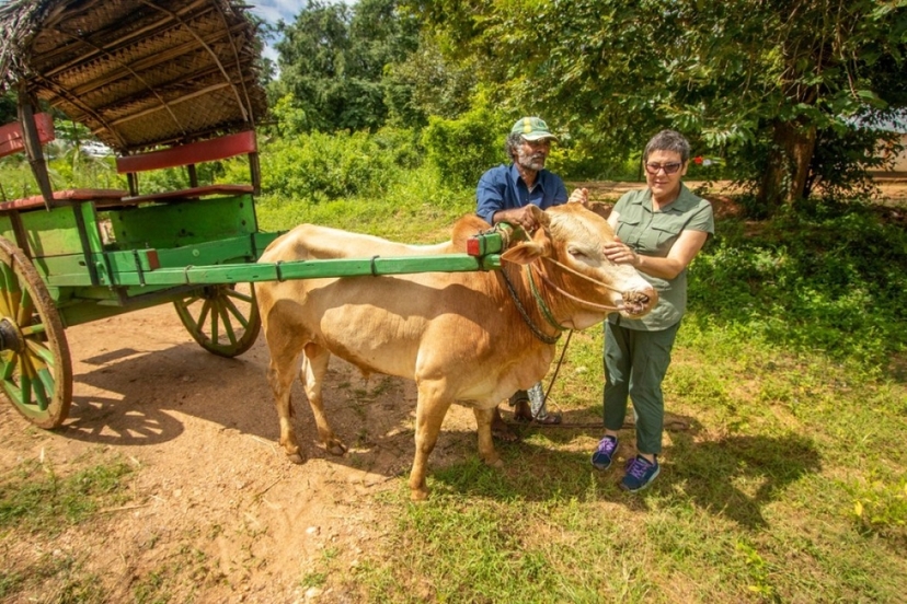 Explore the Highlights of Sri Lanka 4