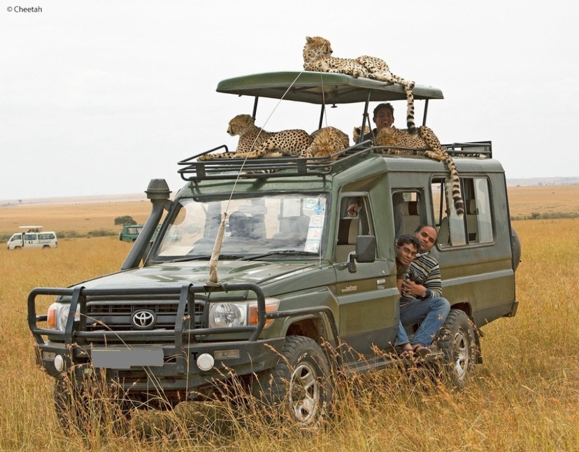 9 Days Nakuru, Mara, Serengeti, Ngorongoro, Serval & Amboseli Luxury Safari 4