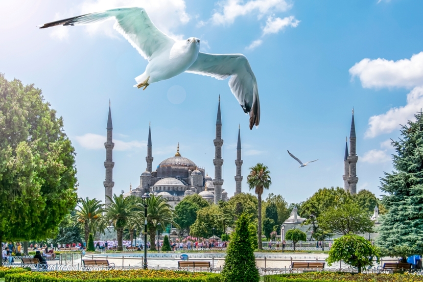 28 Days Complete Turkey Tour 2
