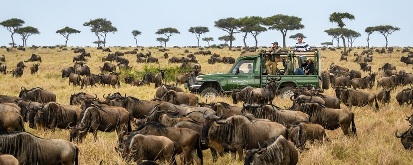 4 Days Luxury Masai Mara Wildebeest Migration Safari 3