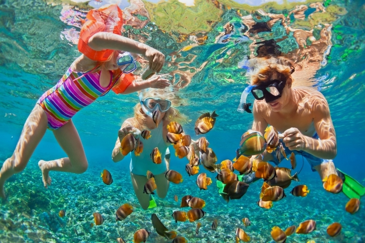 Nemo Trip: Snorkeling & Floating Crazy Party