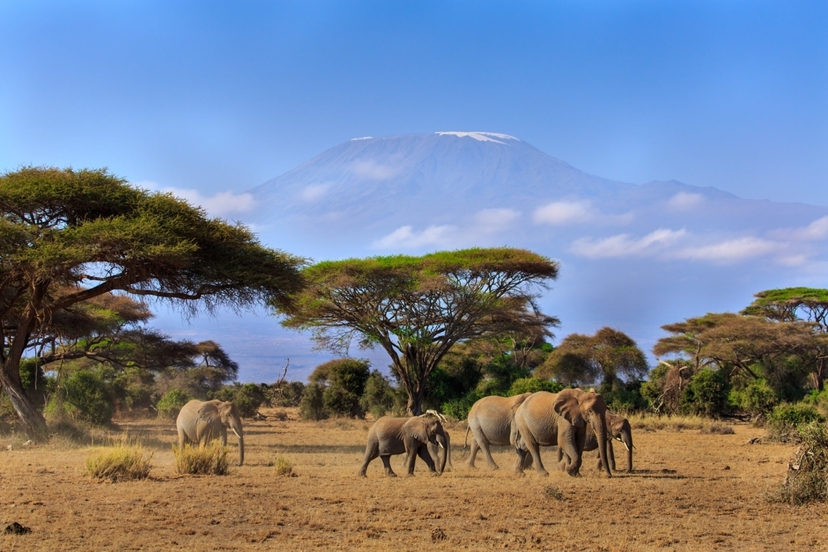 12 Days Kenya & Tanzania Combo Big Five Safari 2