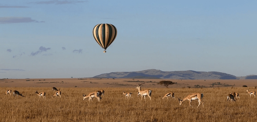Unforgettable Tsavo Safari: 3 Days of Wildlife and Adventure 4