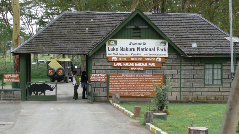 3 Days Bird Watching Safari : Lake Bogoria, Lake Naivasha & Lake Nakuru park 3