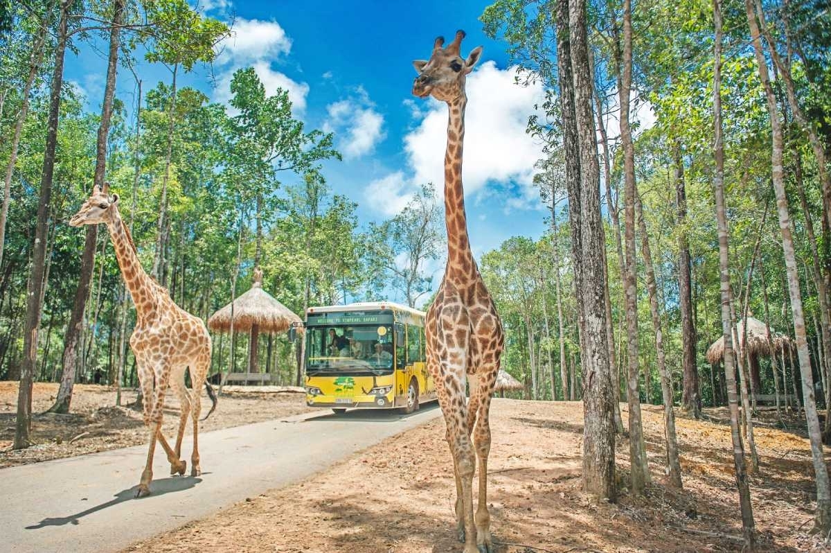 Vinpearl Phu Quoc Safari and Theme Park Experience 2