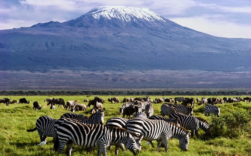 9-Days Discover Kenya Parks Economy Safari 3