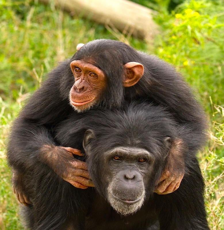 14 Days Best of Kenya Wildlife Private Luxury Safari 1