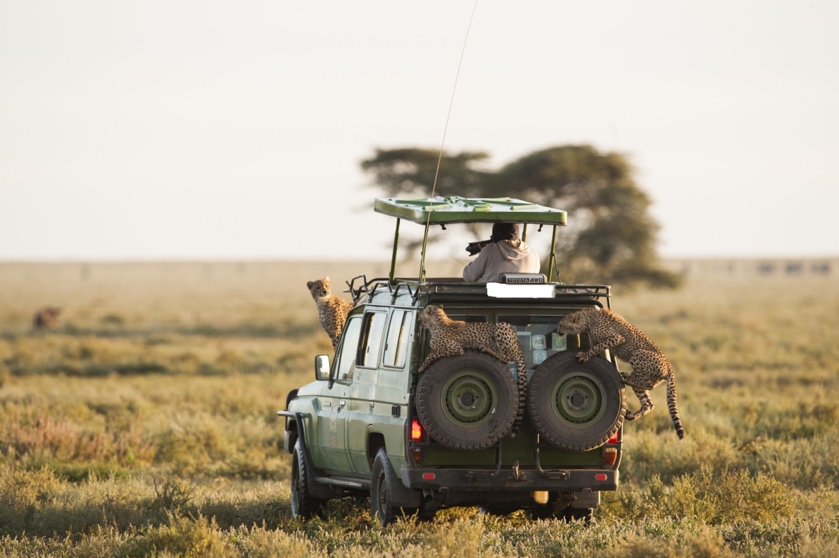 5 Days Big Five Luxury Safari to Masai Mara Lake Nakuru and Lake Naivasha 1