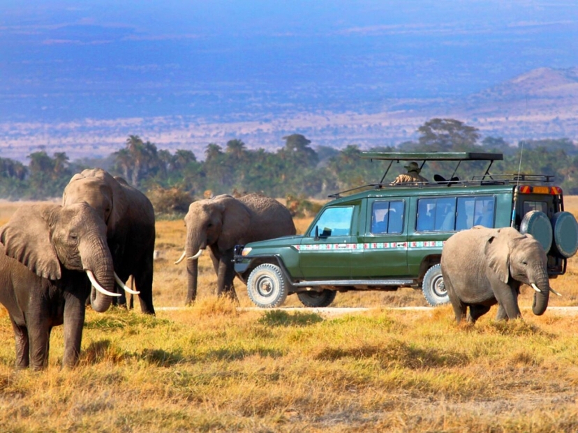5 Days Taste of Amboseli, Tsavo West, and Tsavo East Luxury Safari 4
