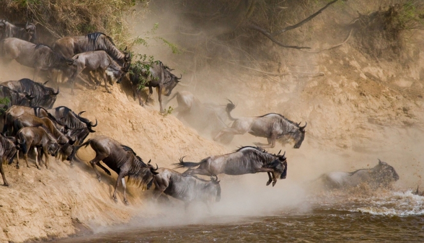 6-Day Iconic Kenya Safari: Amboseli, Nakuru, & Masai Mara Adventure 4