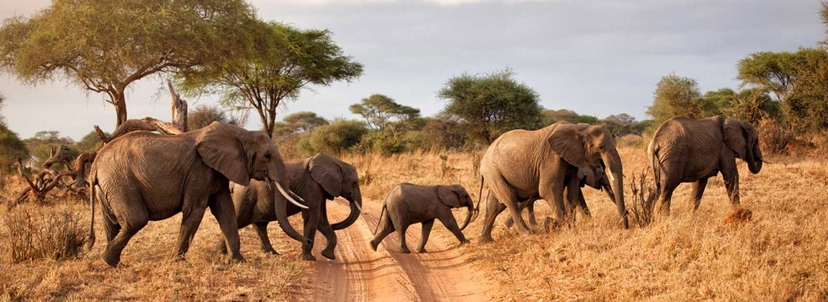3 Days Best Wildlife Safari Tsavo East and Tsavo West From Nairobi 4