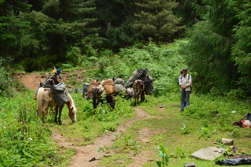 Bhutan Druk path Trek 4
