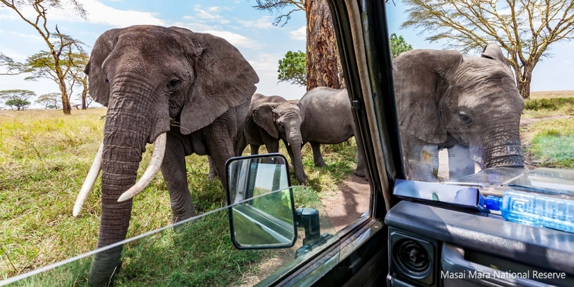 5 Days Highlight of Kenya's Wildlife, Sceneries and Culture(Maasai Mara, L.Naivasha,Solio) 2