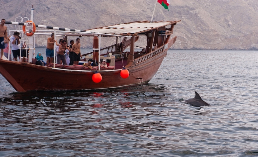 Full day dhow cruise to the fjords of Musandam 4