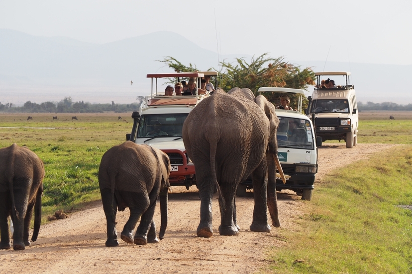 6 Days Serengeti National Park Wildebeest Migration Luxury Safari 2